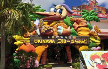 沖縄・OKINAWAフルーツらんど-701